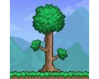 Terraria