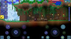 Terraria