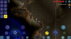 Terraria