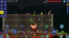 Terraria