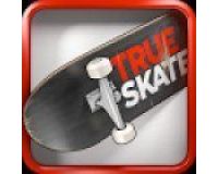 Echte Skate