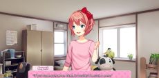 Clube De Literatura Doki Doki