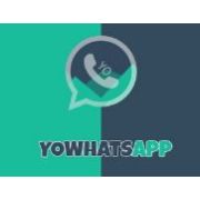 YoWhatsApp APK