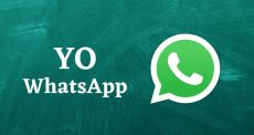 YoWhatsApp APK