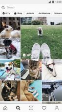 Instagram Apk