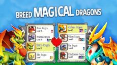 é¾åŸŽ Apk
