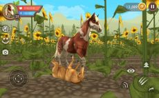 Wildcraft APK.