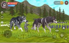 Wildcraft APK.