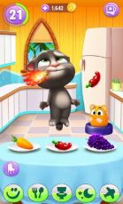 Il Mio Talking Tom 2 Apk