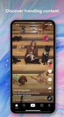 Tiktok Apk