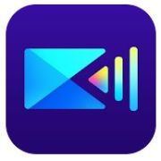 å¨åŠ›å¯¼æ¼” Pro APK