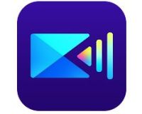 å¨åŠ›å¯¼æ¼” Pro APK
