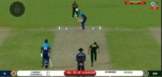 APK Del Vero Cricket