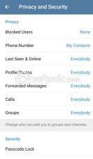 ç”µæŠ¥ Apk