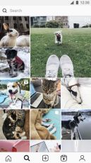 Instagram Lite APK