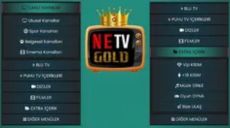 Netv Gold V5 Apk