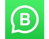 Wa Business Apk