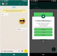 é€‚ç”¨äºŽ Android 2023 çš„ Fm WhatsApp Apk V9.50F ä¸‹è½½