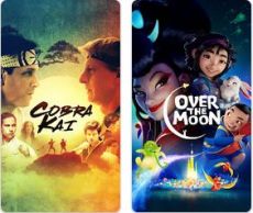 Netflix Apk