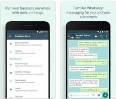 Wa Business Apk