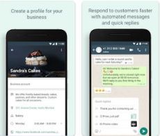 Wa Business Apk