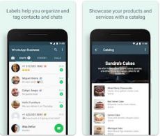 Wa Business Apk