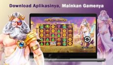 Gates Of Olympus Apk