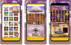 Gates Of Olympus Apk