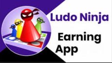 Ludo Ninja Apk