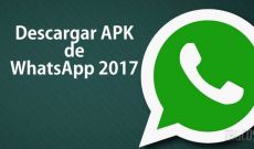 Scarica WhatsApp APK