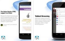 Inbrowser APK