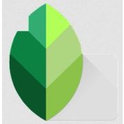 SnapSeed Apk V2.19.1.303051424 Wszystko Odblokowane