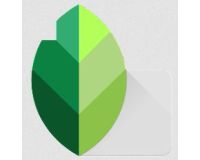 SnapSeed Apk