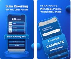 BCA Mobile Apk