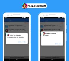 Iniettore ML APK