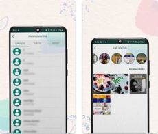 Whats Tracker Apk