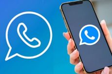 WhatsApp Plus Apk