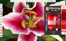 Sketchbook Apk