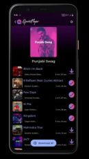 Spotiflyer Apk