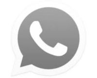 OG WhatsApp Apk