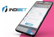 Indibet APK