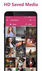 Story Saver Apk