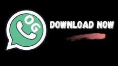 Aplikasi OGWhatsApp