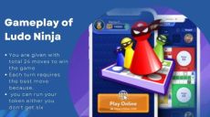 Ludo Ninja Apk