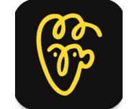 Avatarify Apk