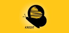 KreditBee Apk