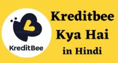 KreditBee Apk