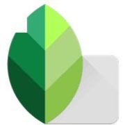APK MOD SNAPSEED