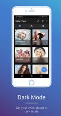 Gallery Vault Mod Apk
