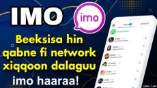 Imo Mod APK